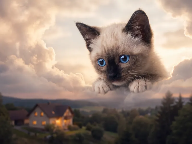 Sapphire Eyes, Cloudside Vigil